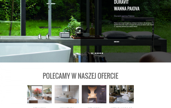 Budowy strony internetowej dla firmy SANART z Gdańska